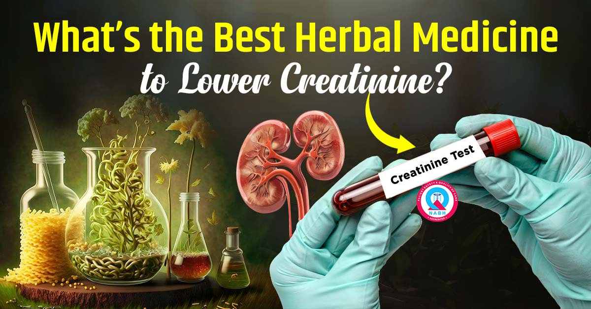 what-the-best-herbal-medicine-to-lower-creatinine